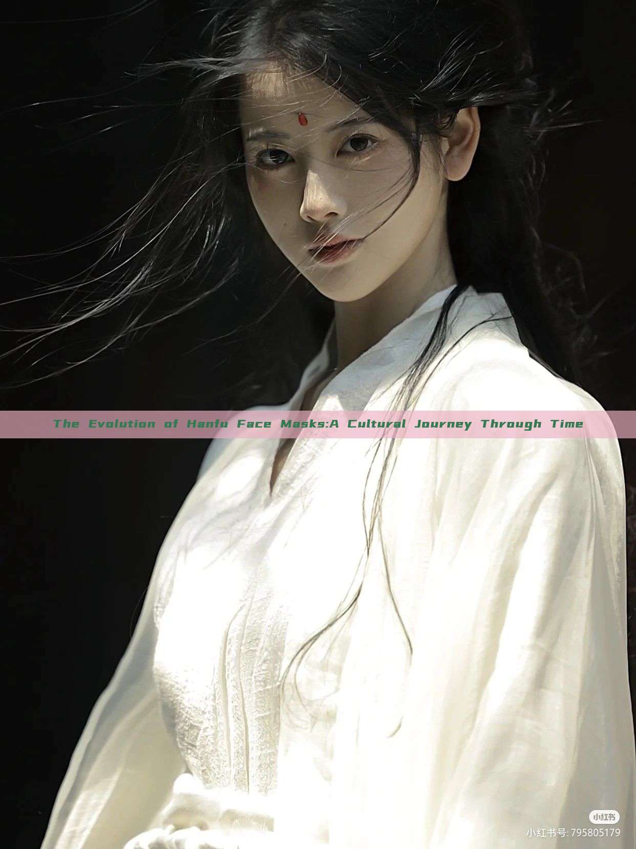 The Evolution of Hanfu Face Masks:A Cultural Journey Through Time