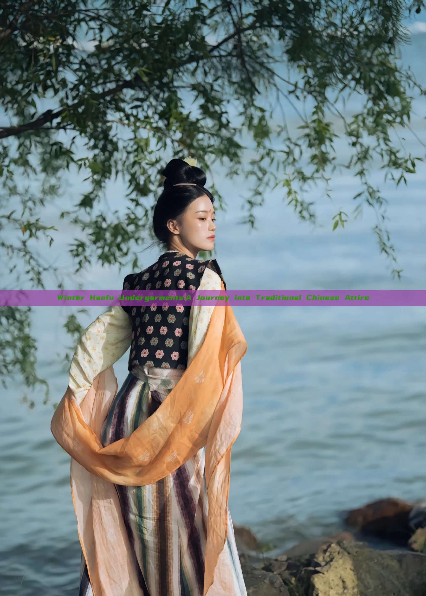 Winter Hanfu Undergarments:A Journey into Traditional Chinese Attire Winter Hanfu Undergarments:A Journey into Traditional Chinese Attire
