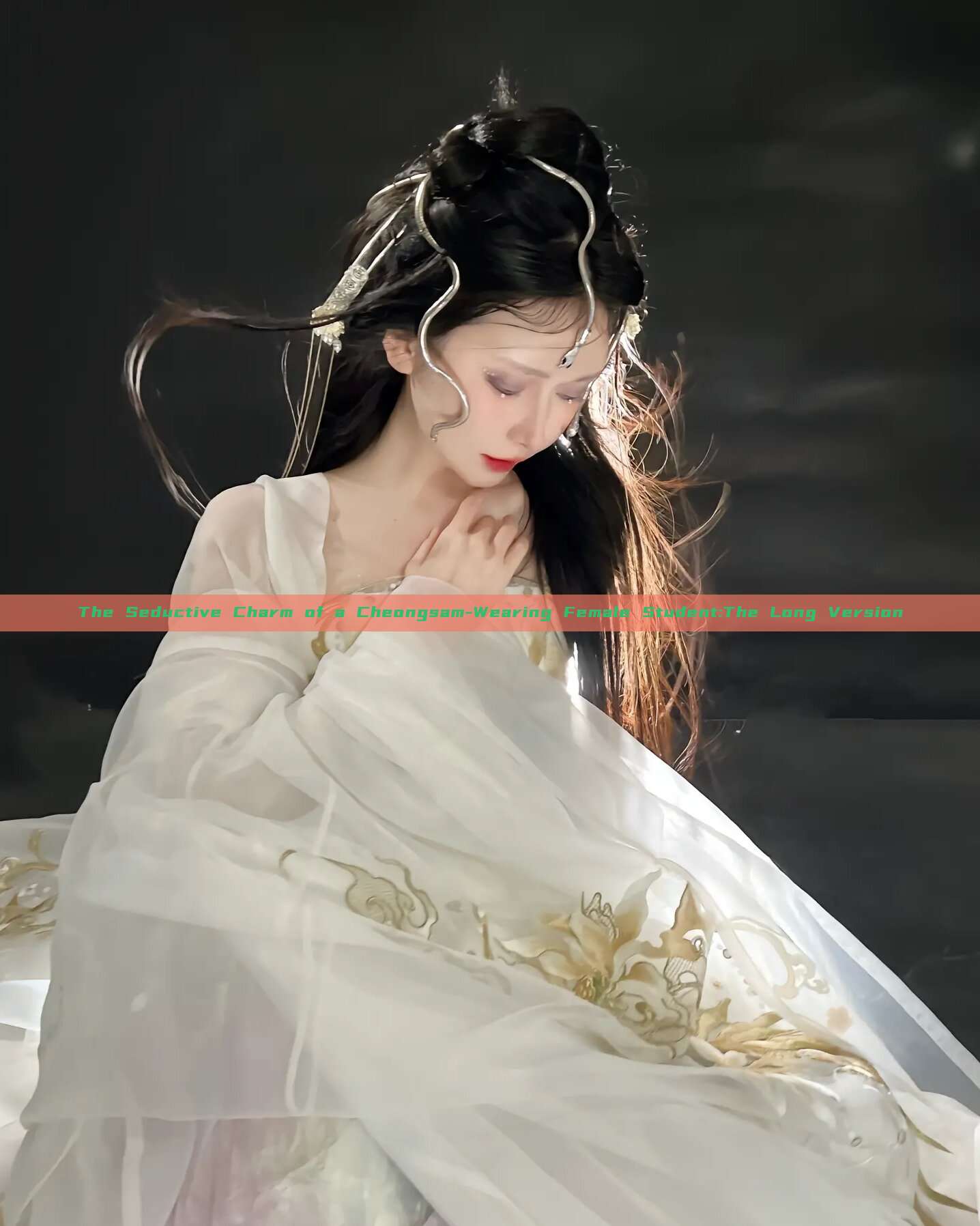The Seductive Charm of a Cheongsam-Wearing Female Student:The Long Version