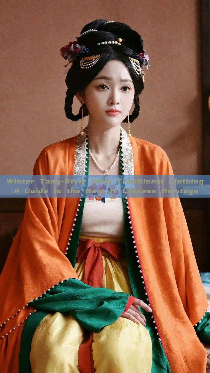 Winter Tang-Style Girls Traditional Clothing:A Guide to the Best in Chinese Heritage