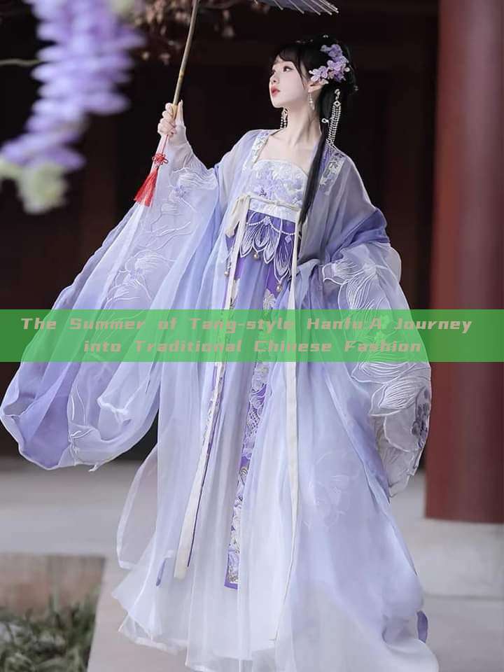 The Summer of Tang-style Hanfu:A Journey into Traditional Chinese Fashion The Summer of Tang-style Hanfu:A Journey into Traditional Chinese Fashion