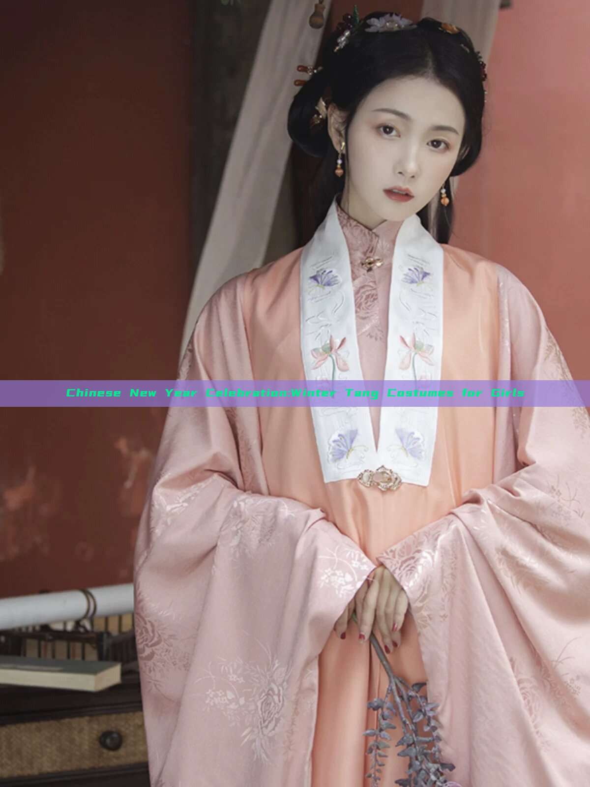 Chinese New Year Celebration:Winter Tang Costumes for Girls Chinese New Year Celebration:Winter Tang Costumes for Girls
