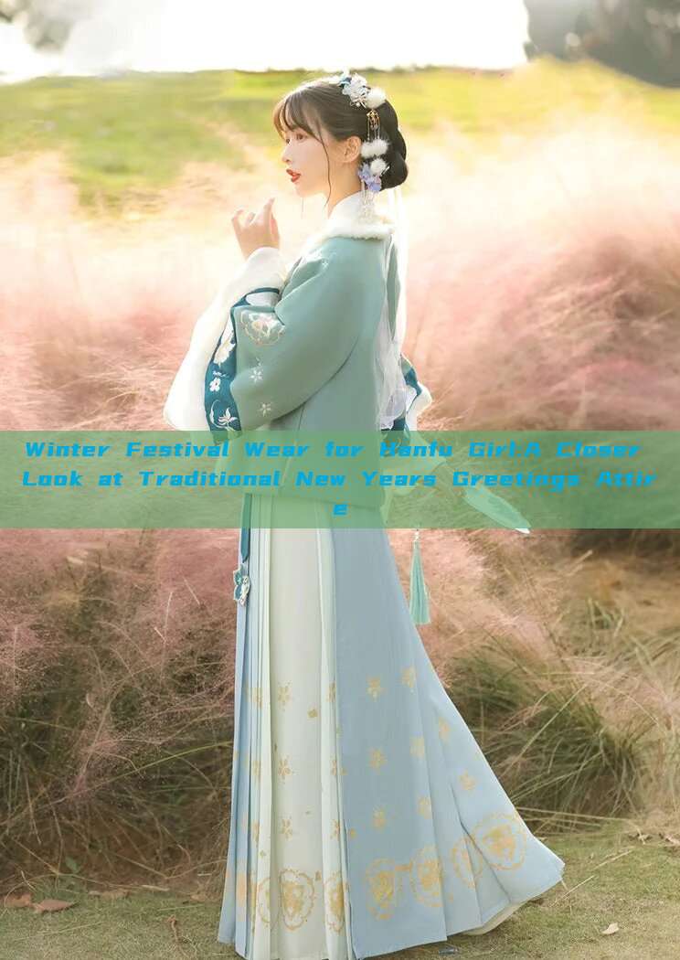Winter Festival Wear for Hanfu Girl:A Closer Look at Traditional New Years Greetings Attire Winter Festival Wear for Hanfu Girl:A Closer Look at Traditional New Years Greetings Attire