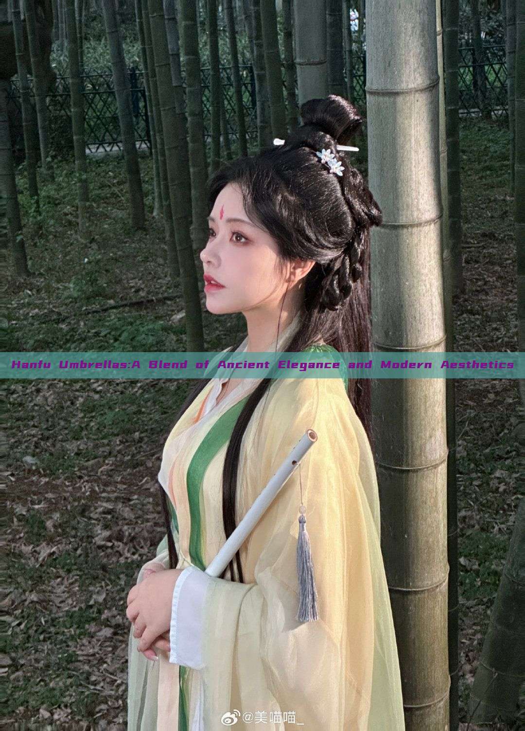 Hanfu Umbrellas:A Blend of Ancient Elegance and Modern Aesthetics Hanfu Umbrellas:A Blend of Ancient Elegance and Modern Aesthetics