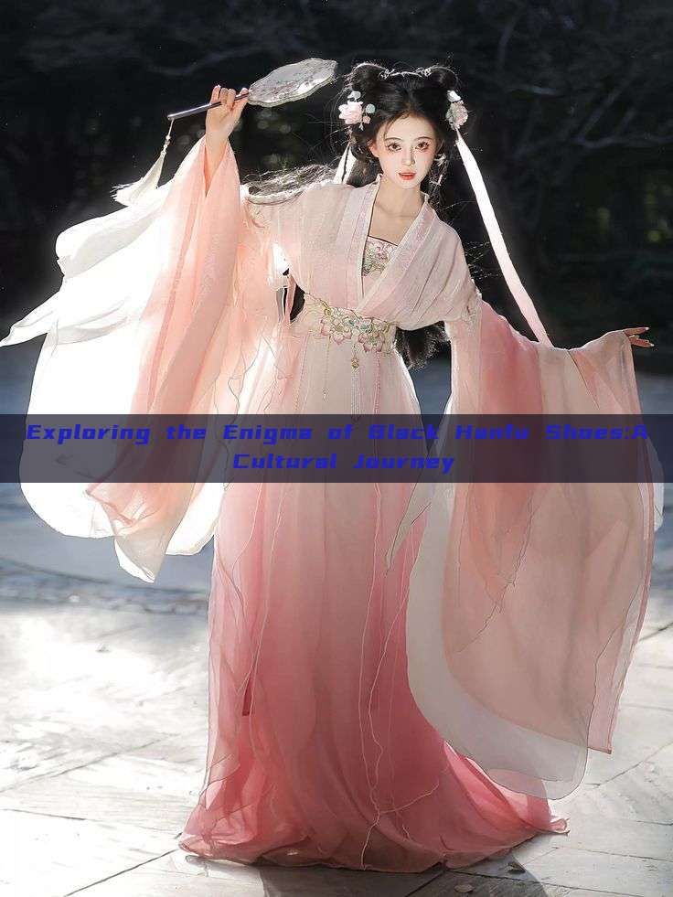 Exploring the Enigma of Black Hanfu Shoes:A Cultural Journey Exploring the Enigma of Black Hanfu Shoes:A Cultural Journey