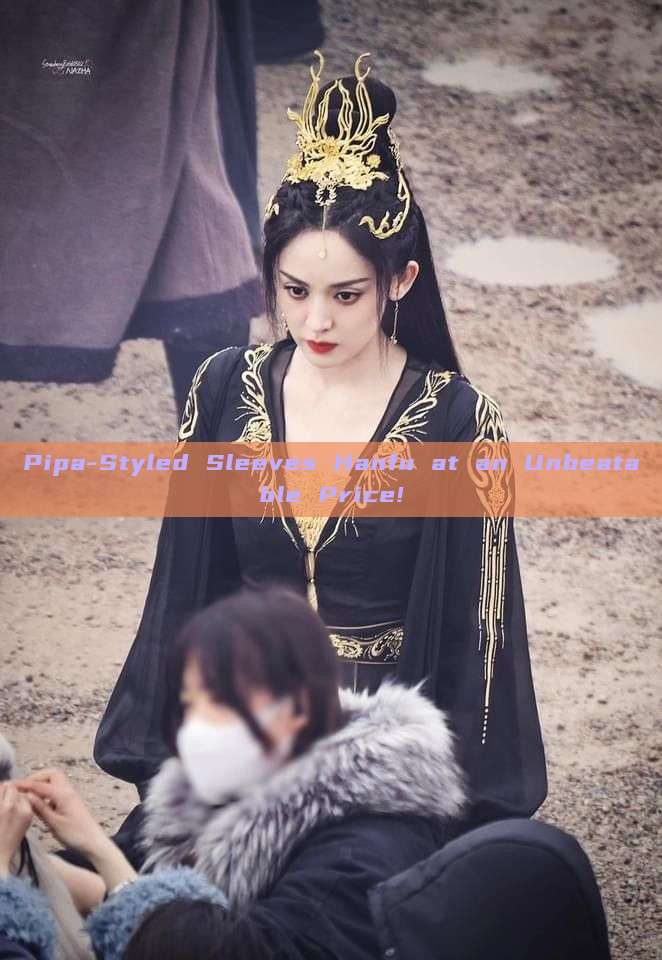 Pipa-Styled Sleeves Hanfu at an Unbeatable Price! Pipa-Styled Sleeves Hanfu at an Unbeatable Price!
