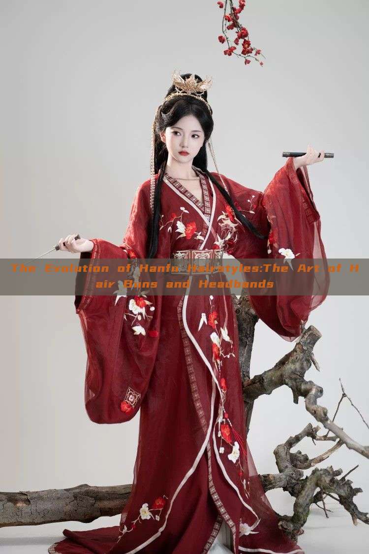 The Evolution of Hanfu Hairstyles:The Art of Hair Buns and Headbands The Evolution of Hanfu Hairstyles:The Art of Hair Buns and Headbands