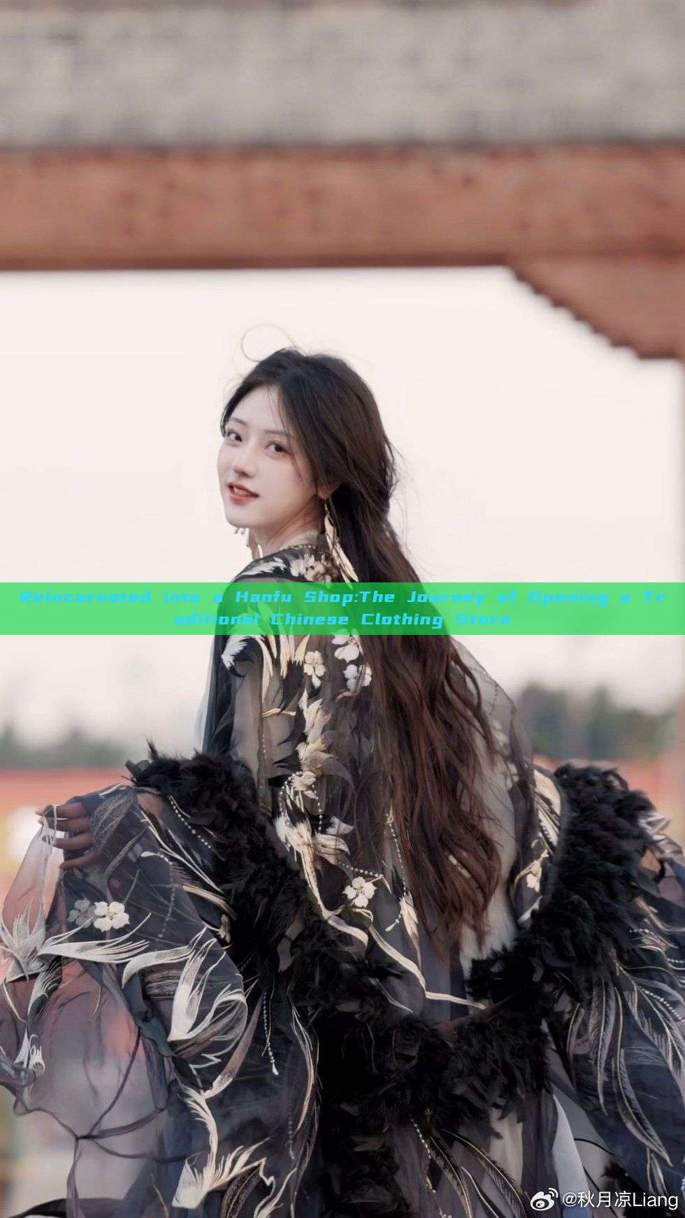 Reincarnated into a Hanfu Shop:The Journey of Opening a Traditional Chinese Clothing Store Reincarnated into a Hanfu Shop:The Journey of Opening a Traditional Chinese Clothing Store