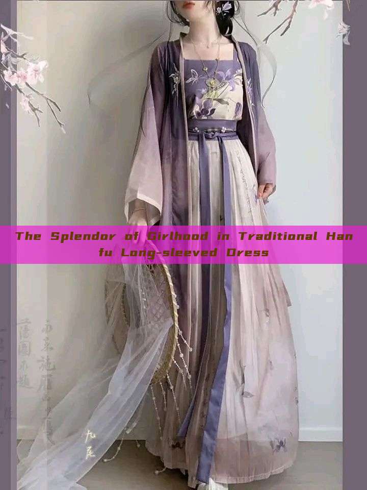 The Splendor of Girlhood in Traditional Hanfu Long-sleeved Dress The Splendor of Girlhood in Traditional Hanfu Long-sleeved Dress