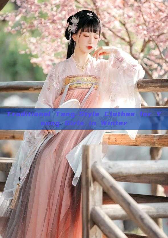 Traditional Tang-Style Clothes for Young Girls in Winter Traditional Tang-Style Clothes for Young Girls in Winter