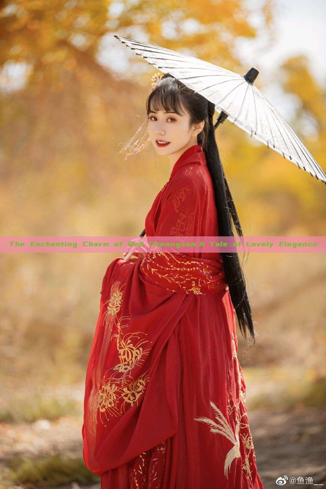The Enchanting Charm of Red Cheongsam:A Tale of Lovely Elegance The Enchanting Charm of Red Cheongsam:A Tale of Lovely Elegance