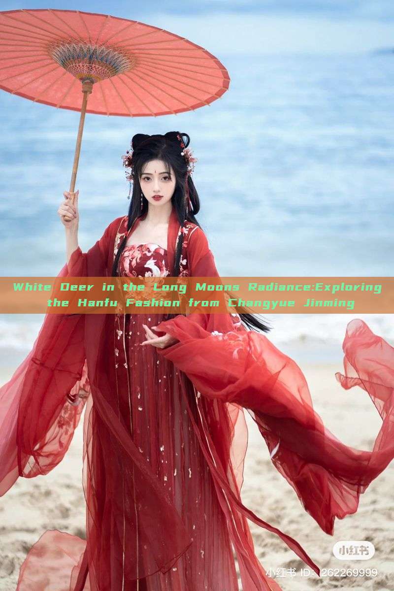 White Deer in the Long Moons Radiance:Exploring the Hanfu Fashion from Changyue Jinming White Deer in the Long Moons Radiance:Exploring the Hanfu Fashion from Changyue Jinming