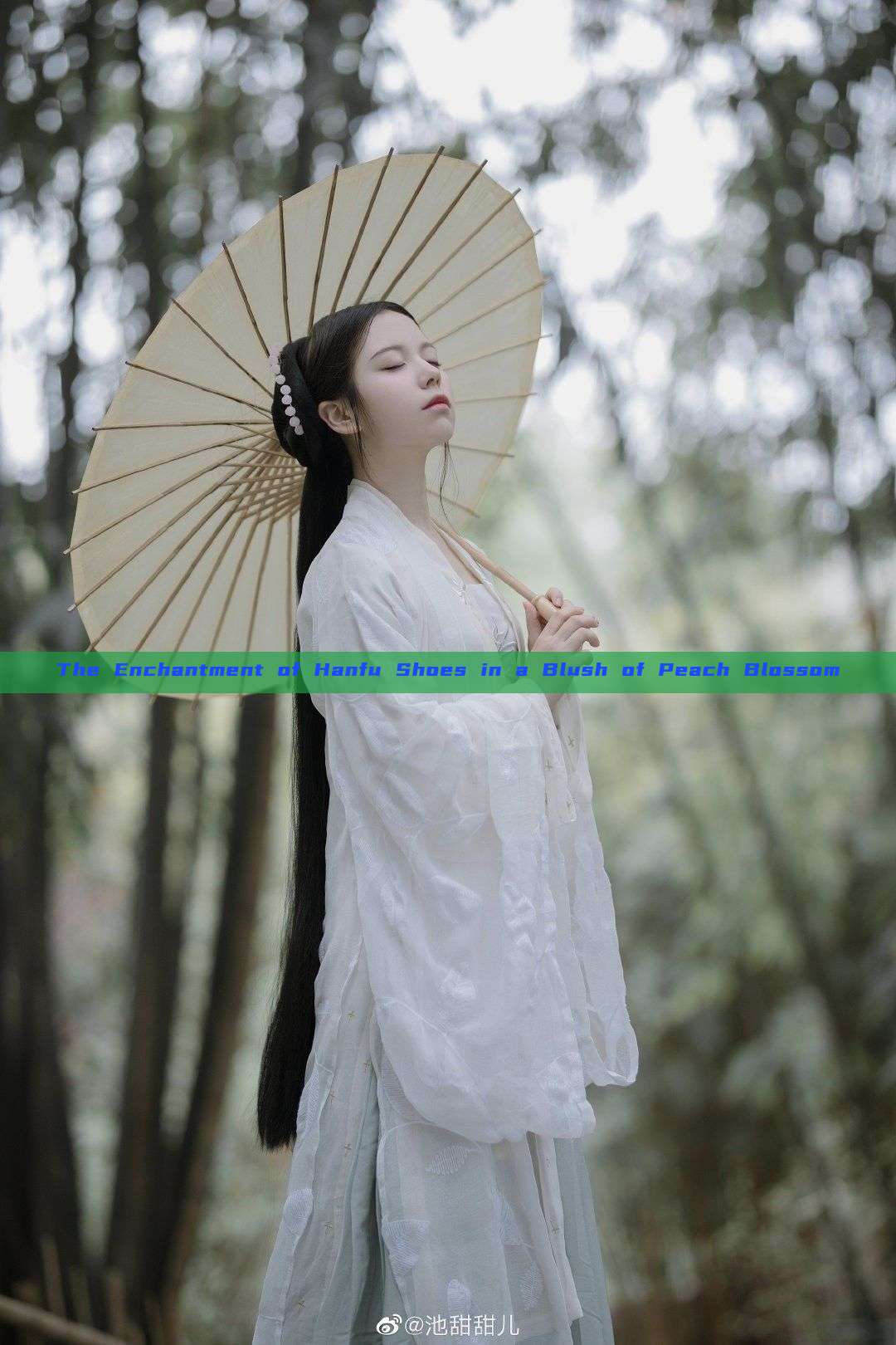 The Enchantment of Hanfu Shoes in a Blush of Peach Blossom The Enchantment of Hanfu Shoes in a Blush of Peach Blossom