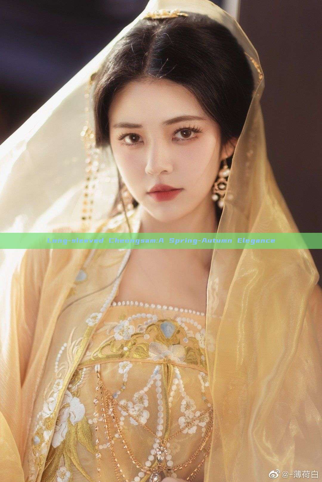 Long-sleeved Cheongsam:A Spring-Autumn Elegance Long-sleeved Cheongsam:A Spring-Autumn Elegance