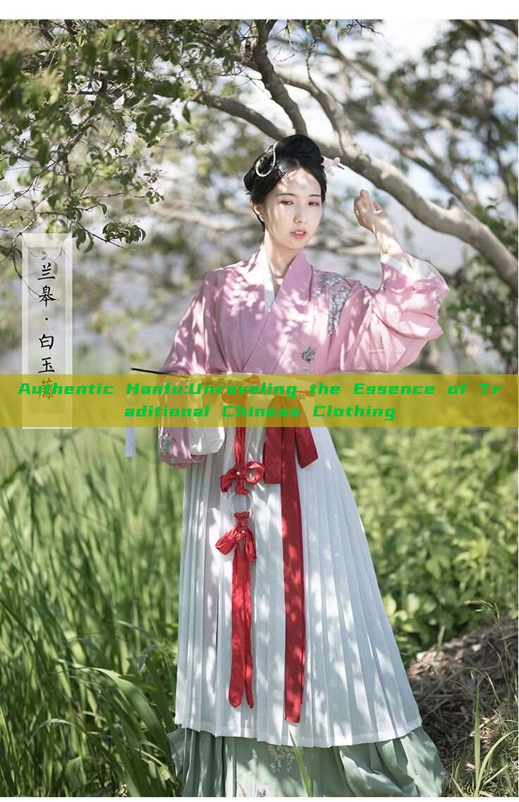 Authentic Hanfu:Unraveling the Essence of Traditional Chinese Clothing Authentic Hanfu:Unraveling the Essence of Traditional Chinese Clothing