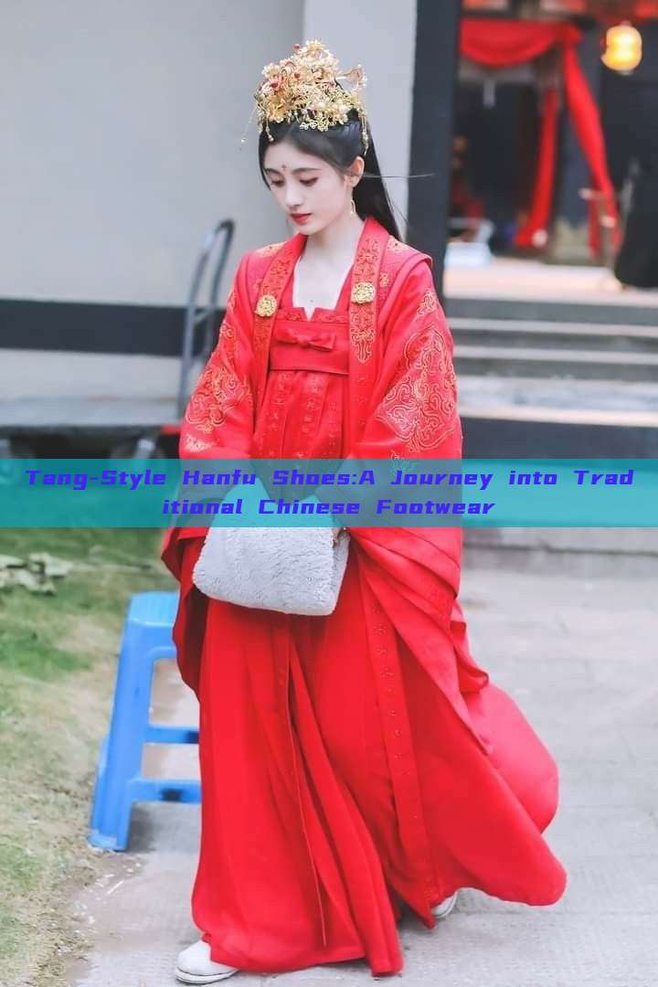 Tang-Style Hanfu Shoes:A Journey into Traditional Chinese Footwear Tang-Style Hanfu Shoes:A Journey into Traditional Chinese Footwear