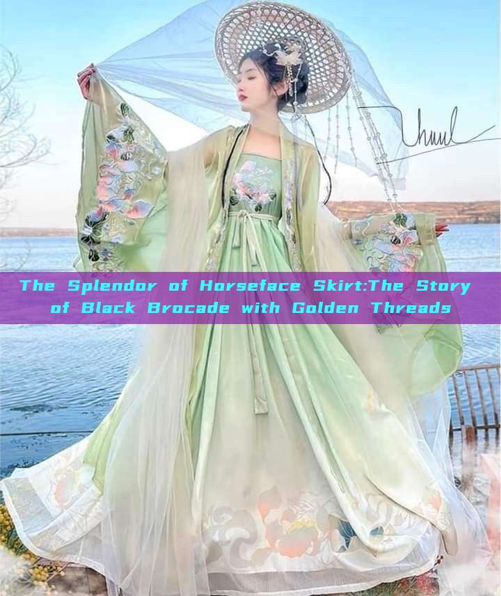 The Splendor of Horseface Skirt:The Story of Black Brocade with Golden Threads The Splendor of Horseface Skirt:The Story of Black Brocade with Golden Threads
