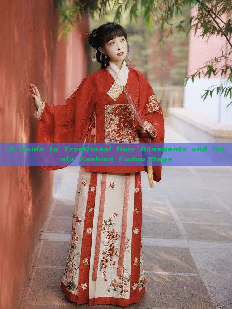 A Guide to Traditional Hair Ornaments and Hanfu Fashion Fudou Bags