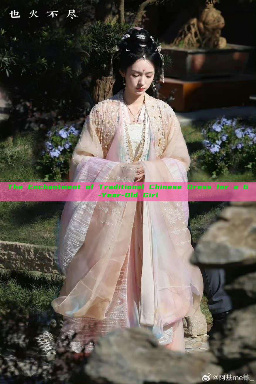 The Enchantment of Traditional Chinese Dress for a 6-Year-Old Girl The Enchantment of Traditional Chinese Dress for a 6-Year-Old Girl