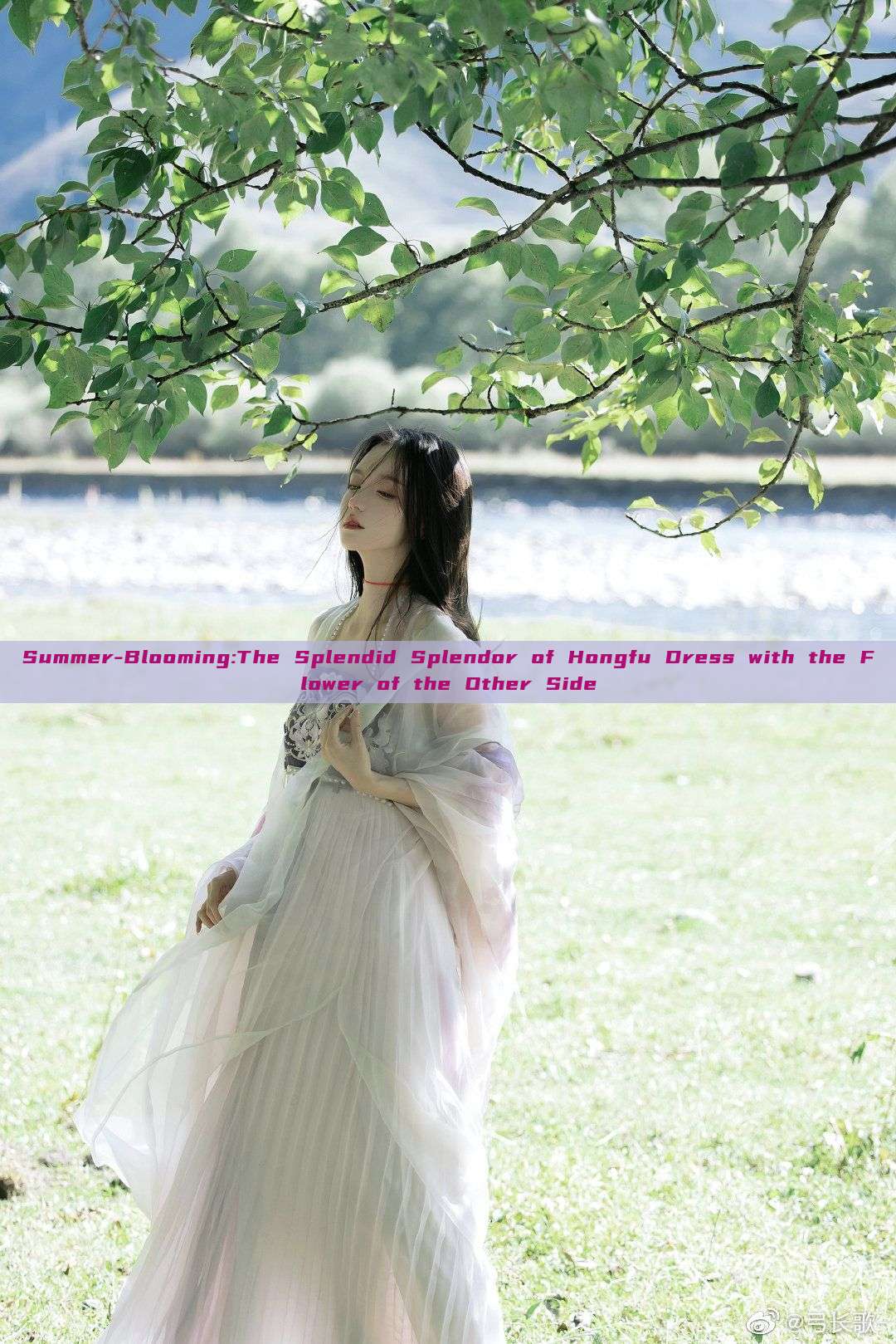 Summer-Blooming:The Splendid Splendor of Hongfu Dress with the Flower of the Other Side
