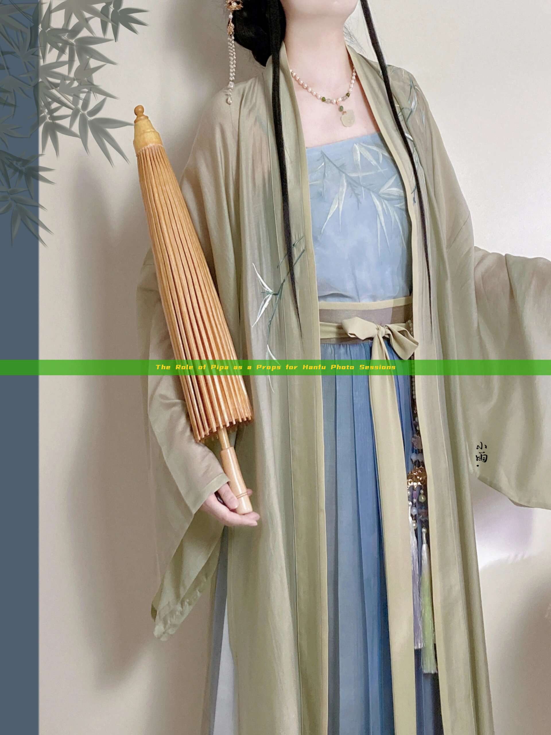 The Role of Pipa as a Props for Hanfu Photo Sessions The Role of Pipa as a Props for Hanfu Photo Sessions