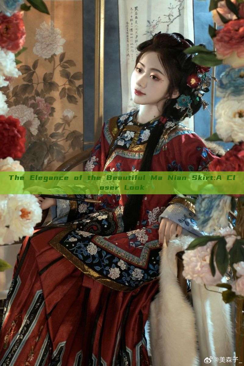 The Elegance of the Beautiful Ma Nian Skirt:A Closer Look The Elegance of the Beautiful Ma Nian Skirt:A Closer Look