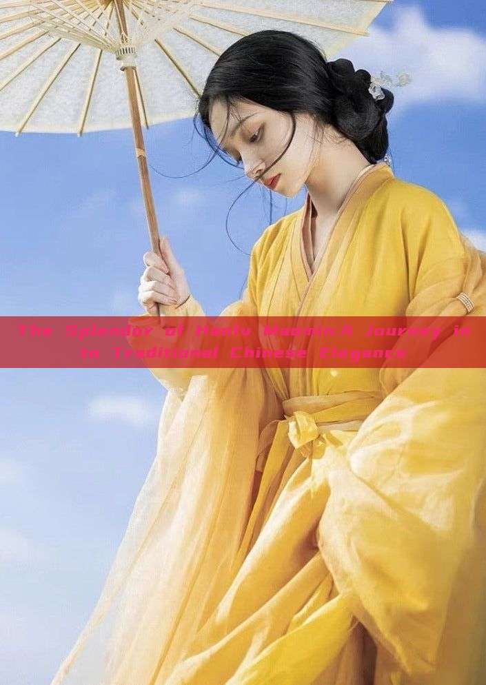The Splendor of Hanfu Maomin:A Journey into Traditional Chinese Elegance The Splendor of Hanfu Maomin:A Journey into Traditional Chinese Elegance