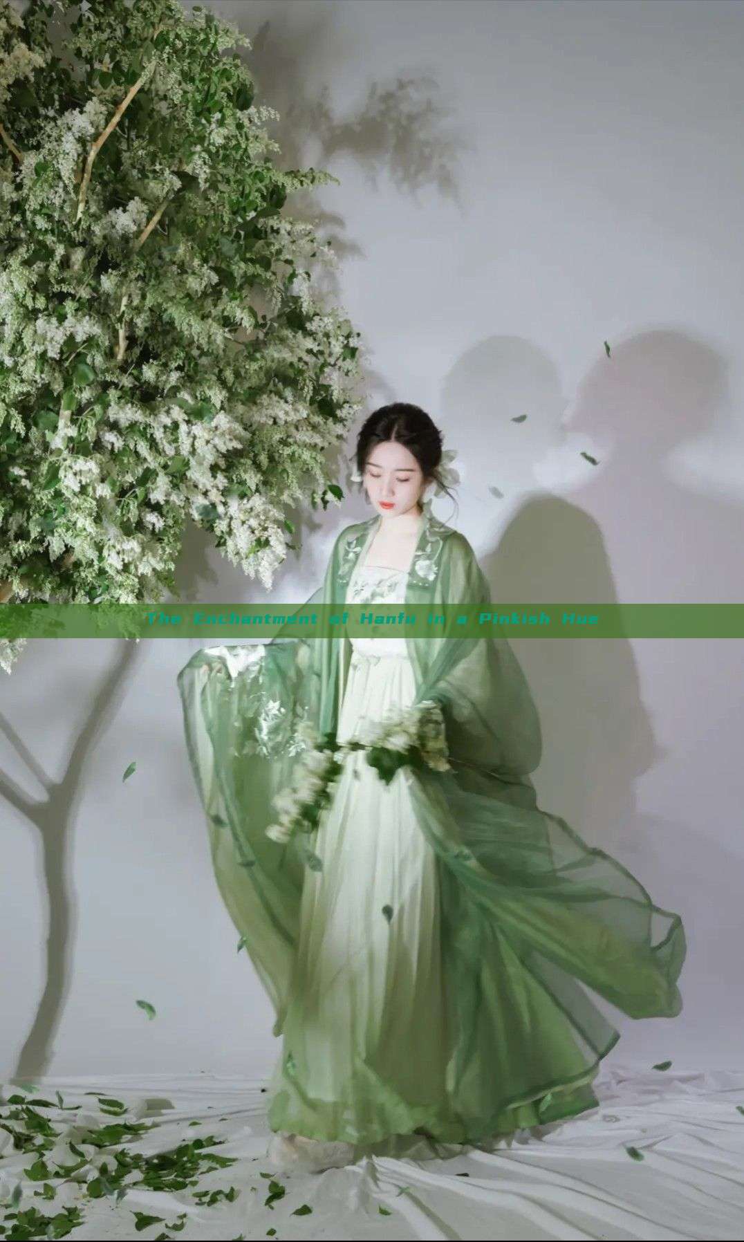 The Enchantment of Hanfu in a Pinkish Hue