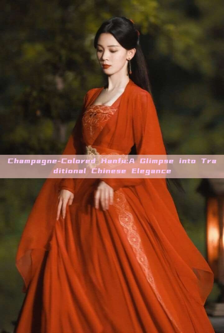 Champagne-Colored Hanfu:A Glimpse into Traditional Chinese Elegance Champagne-Colored Hanfu:A Glimpse into Traditional Chinese Elegance