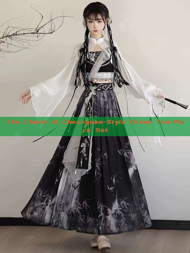 The Charm of Cheongsam-Style Dress Two-Piece Set The Charm of Cheongsam-Style Dress Two-Piece Set