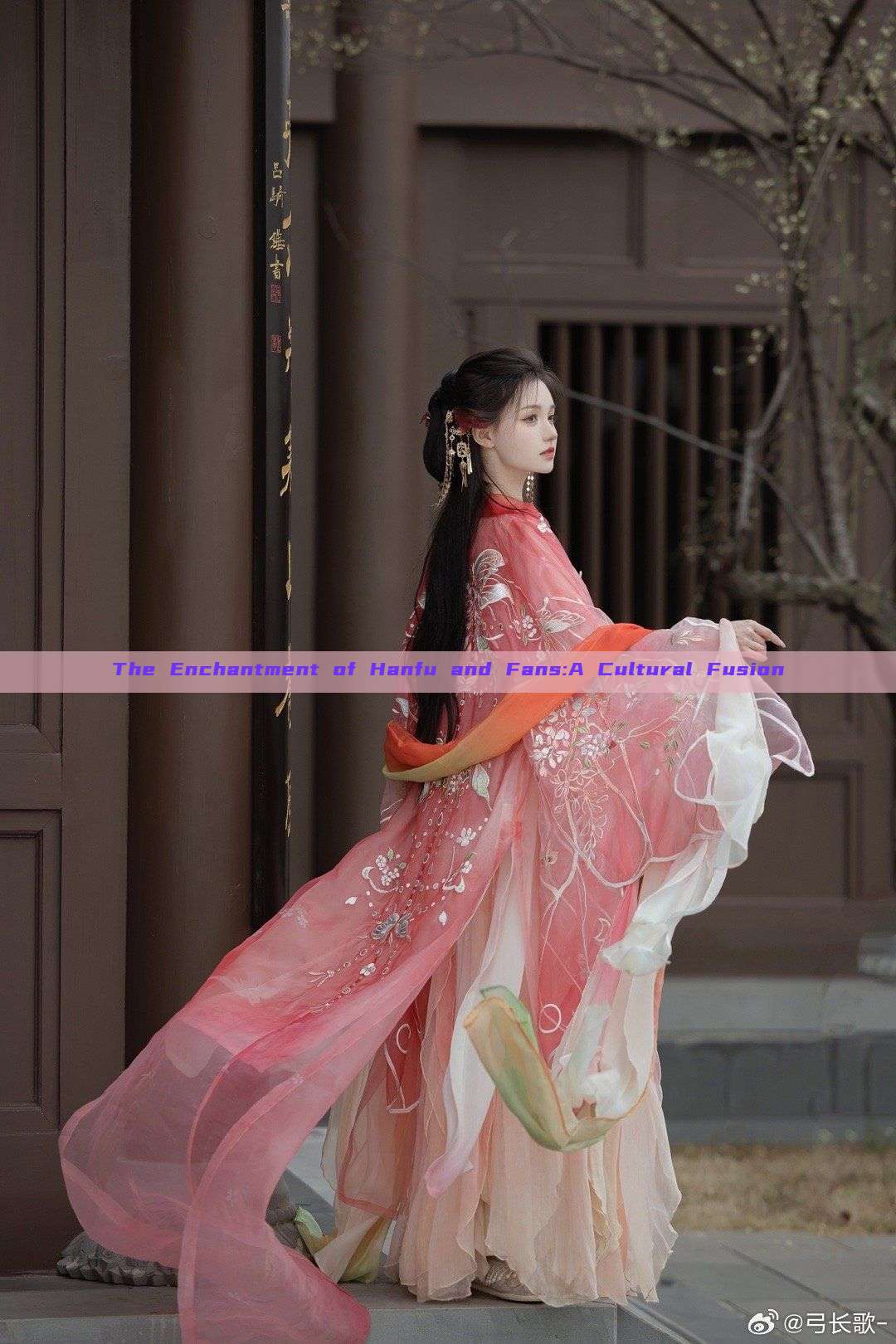 The Enchantment of Hanfu and Fans:A Cultural Fusion The Enchantment of Hanfu and Fans:A Cultural Fusion