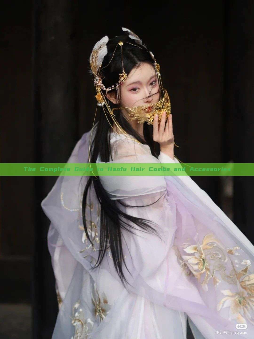 The Complete Guide to Hanfu Hair Combs and Accessories The Complete Guide to Hanfu Hair Combs and Accessories
