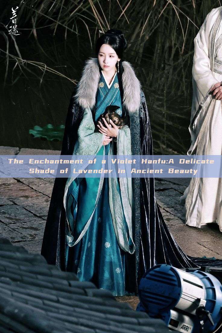 The Enchantment of a Violet Hanfu:A Delicate Shade of Lavender in Ancient Beauty The Enchantment of a Violet Hanfu:A Delicate Shade of Lavender in Ancient Beauty