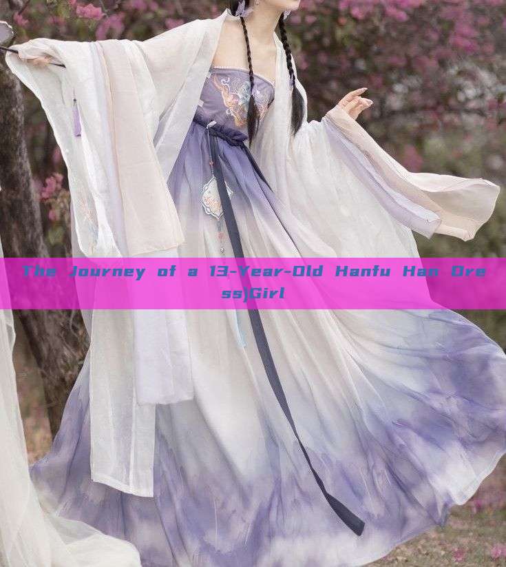 The Journey of a 13-Year-Old Hanfu Han Dress)Girl The Journey of a 13-Year-Old Hanfu Han Dress)Girl
