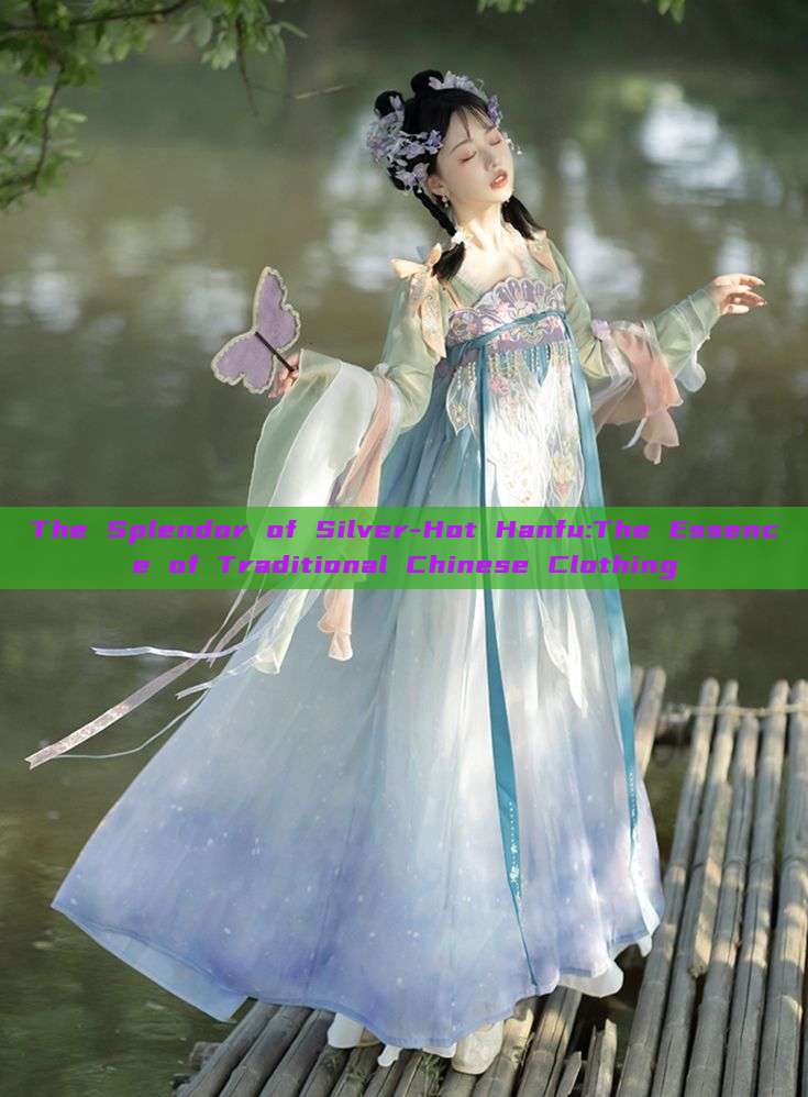 The Splendor of Silver-Hot Hanfu:The Essence of Traditional Chinese Clothing
