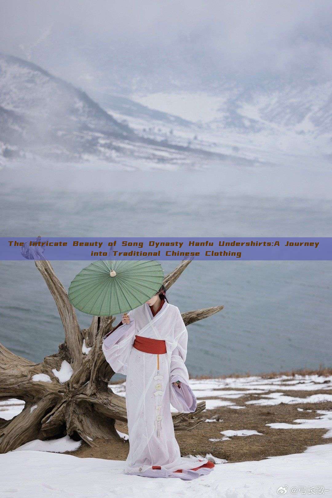 The Intricate Beauty of Song Dynasty Hanfu Undershirts:A Journey into Traditional Chinese Clothing The Intricate Beauty of Song Dynasty Hanfu Undershirts:A Journey into Traditional Chinese Clothing
