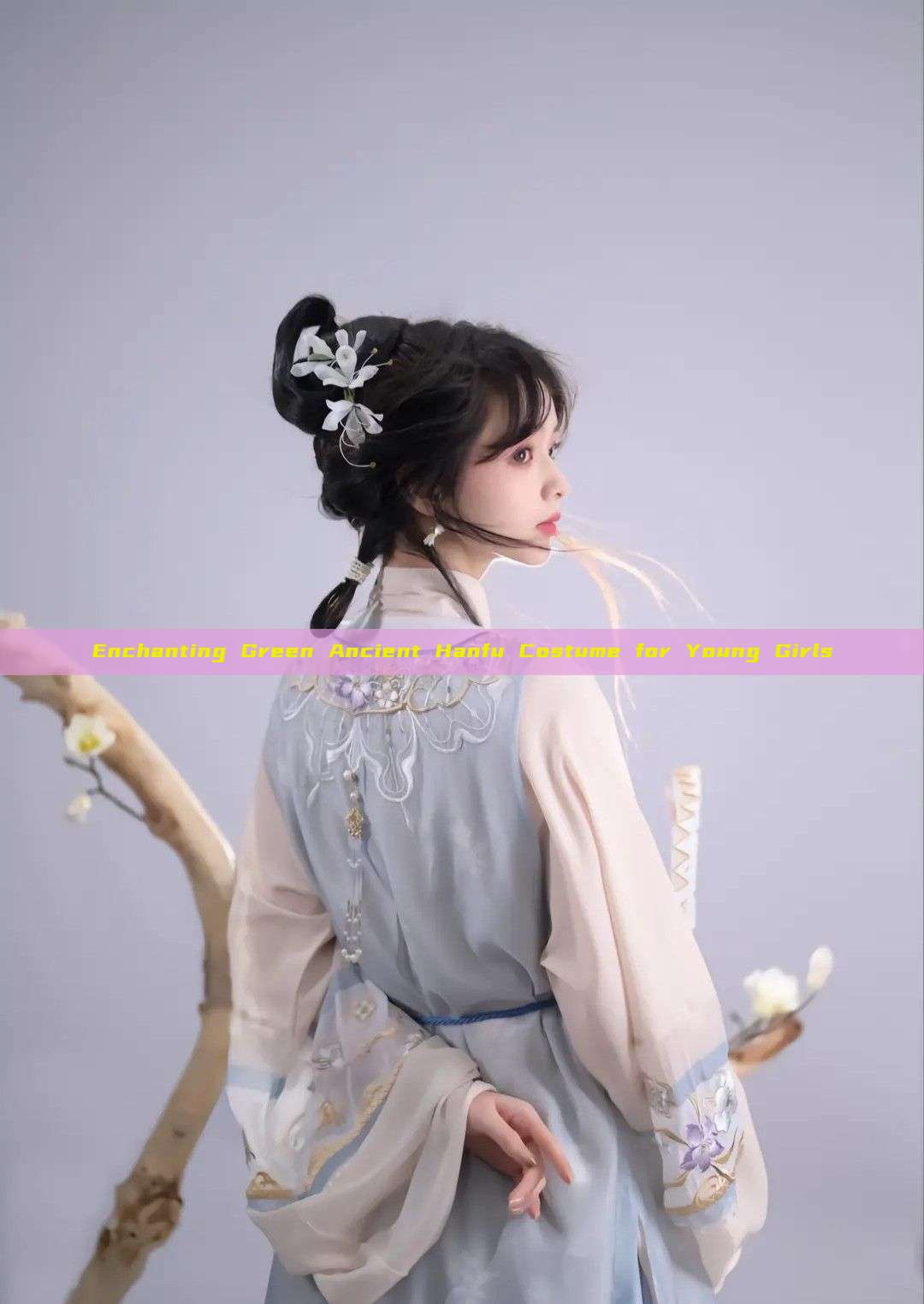 Enchanting Green Ancient Hanfu Costume for Young Girls Enchanting Green Ancient Hanfu Costume for Young Girls