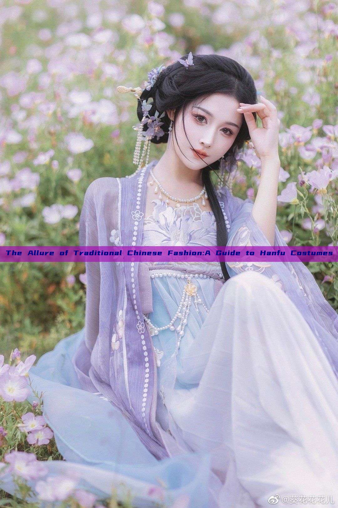 The Allure of Traditional Chinese Fashion:A Guide to Hanfu Costumes The Allure of Traditional Chinese Fashion:A Guide to Hanfu Costumes