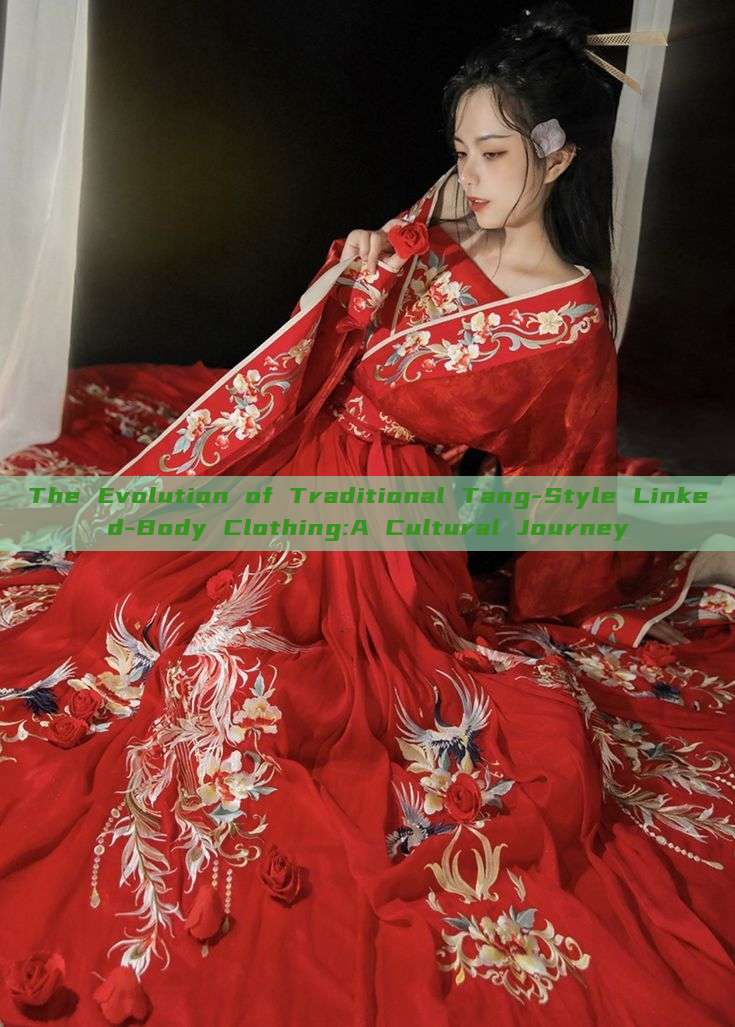 The Evolution of Traditional Tang-Style Linked-Body Clothing:A Cultural Journey