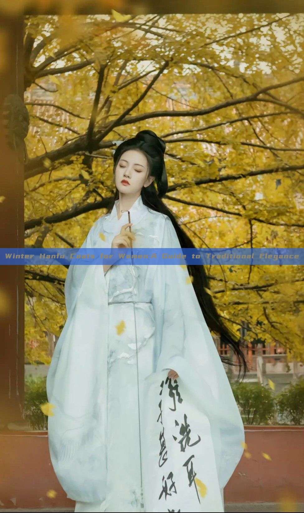 Winter Hanfu Coats for Women:A Guide to Traditional Elegance Winter Hanfu Coats for Women:A Guide to Traditional Elegance