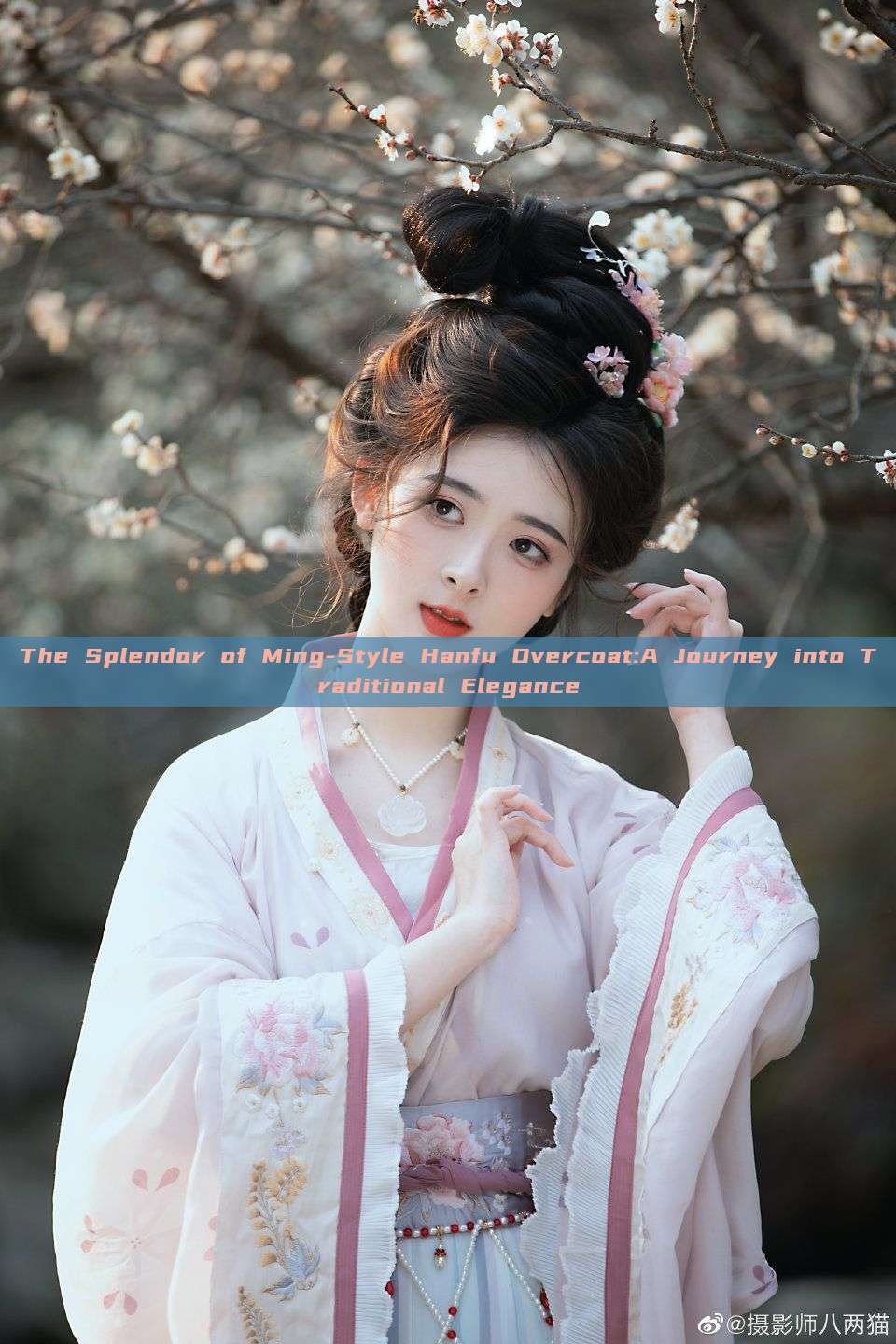 The Splendor of Ming-Style Hanfu Overcoat:A Journey into Traditional Elegance