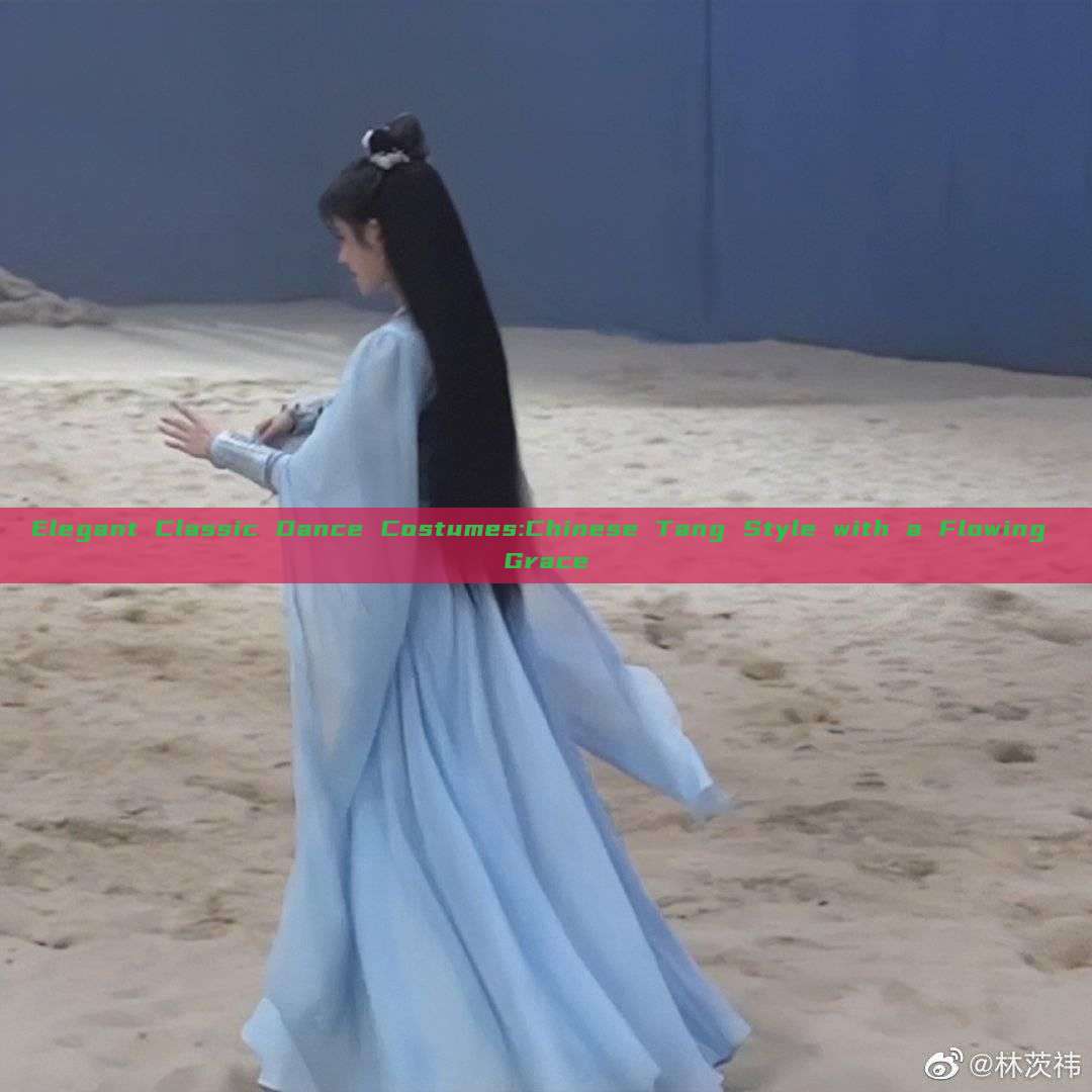 Elegant Classic Dance Costumes:Chinese Tang Style with a Flowing Grace Elegant Classic Dance Costumes:Chinese Tang Style with a Flowing Grace