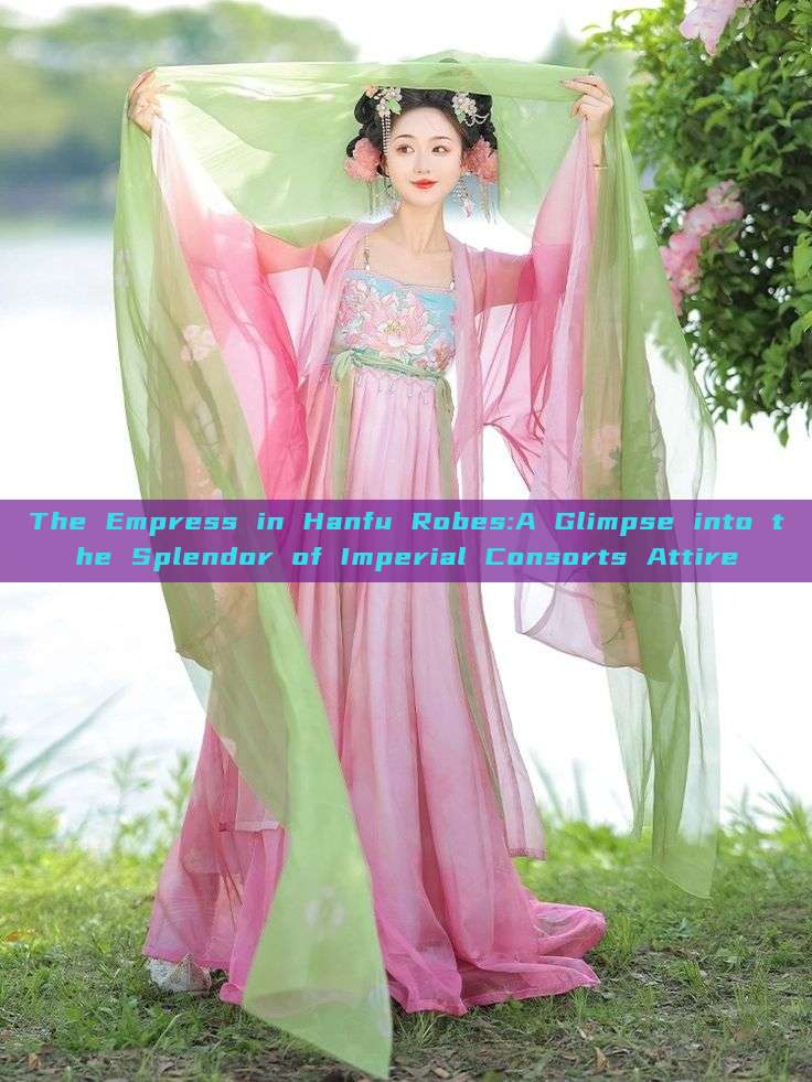 The Empress in Hanfu Robes:A Glimpse into the Splendor of Imperial Consorts Attire The Empress in Hanfu Robes:A Glimpse into the Splendor of Imperial Consorts Attire