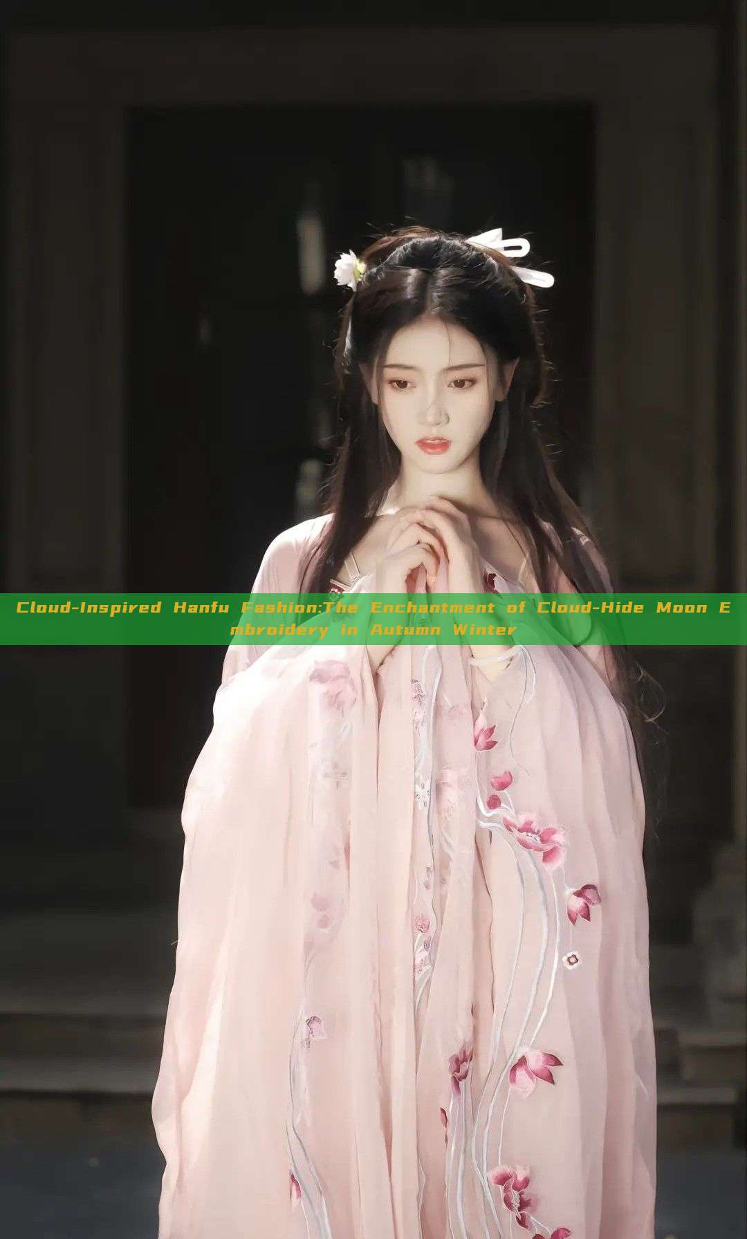 Cloud-Inspired Hanfu Fashion:The Enchantment of Cloud-Hide Moon Embroidery in Autumn Winter