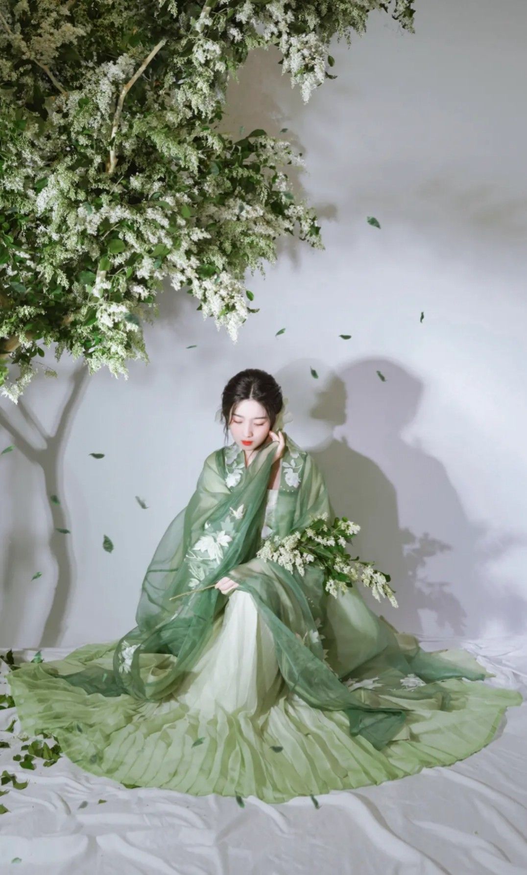 Reimagining Silk Velvet Cheongsam:The Evolution of Traditional Elegance Reimagining Silk Velvet Cheongsam:The Evolution of Traditional Elegance