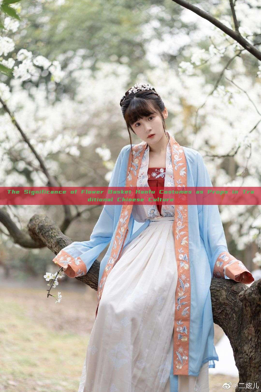 The Significance of Flower Basket Hanfu Costumes as Props in Traditional Chinese Culture