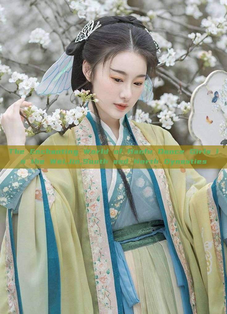 The Enchanting World of Hanfu Dance Girls in the Wei,Jin,South and North Dynasties The Enchanting World of Hanfu Dance Girls in the Wei,Jin,South and North Dynasties