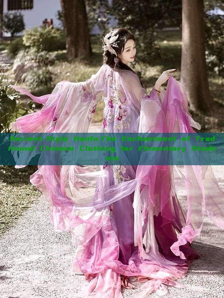 Ancient-Style Hanfu:The Enchantment of Traditional Chinese Clothing for Elementary Students