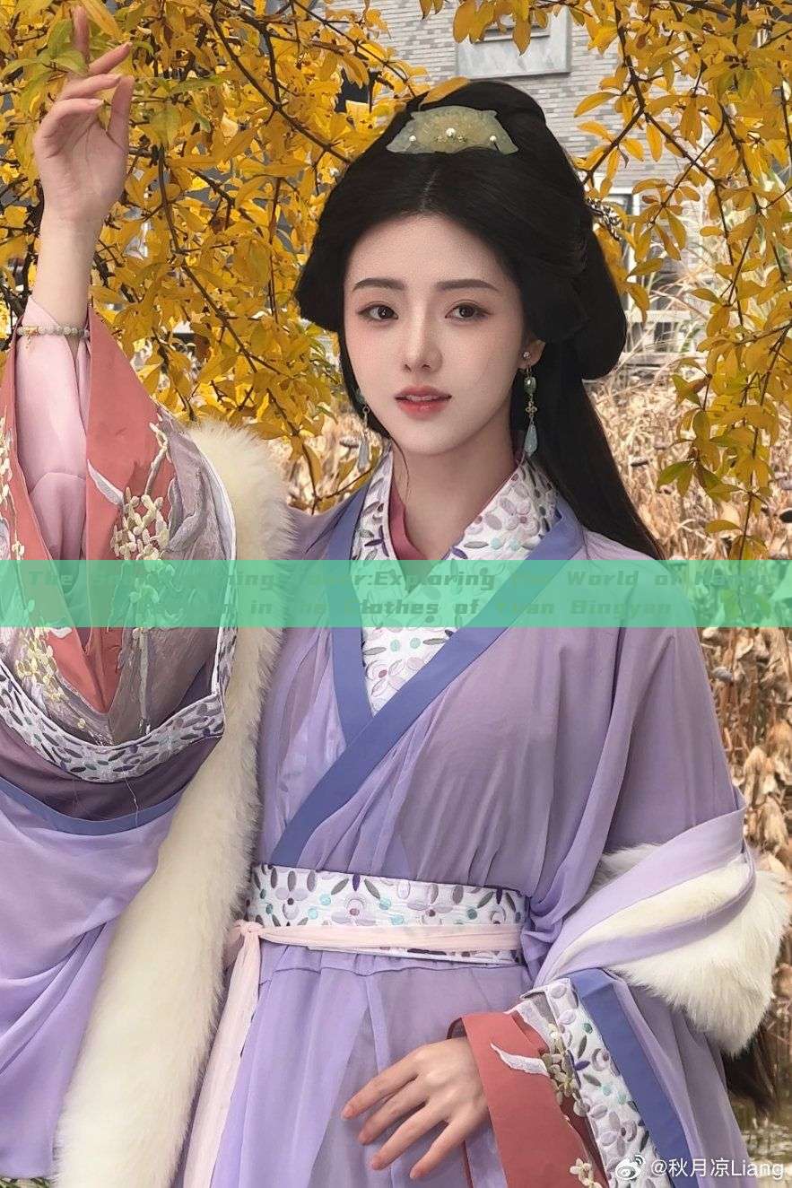 The Snow-listening Tower:Exploring the World of Hanfu Fashion in the Clothes of Yuan Bingyan The Snow-listening Tower:Exploring the World of Hanfu Fashion in the Clothes of Yuan Bingyan