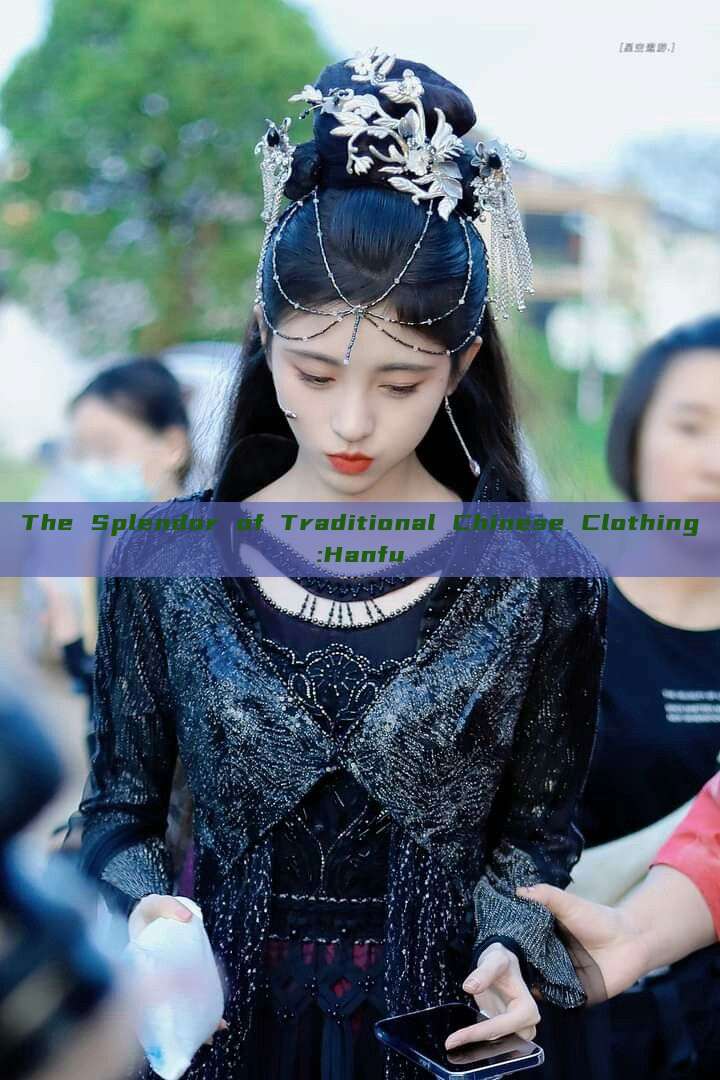 The Splendor of Traditional Chinese Clothing:Hanfu